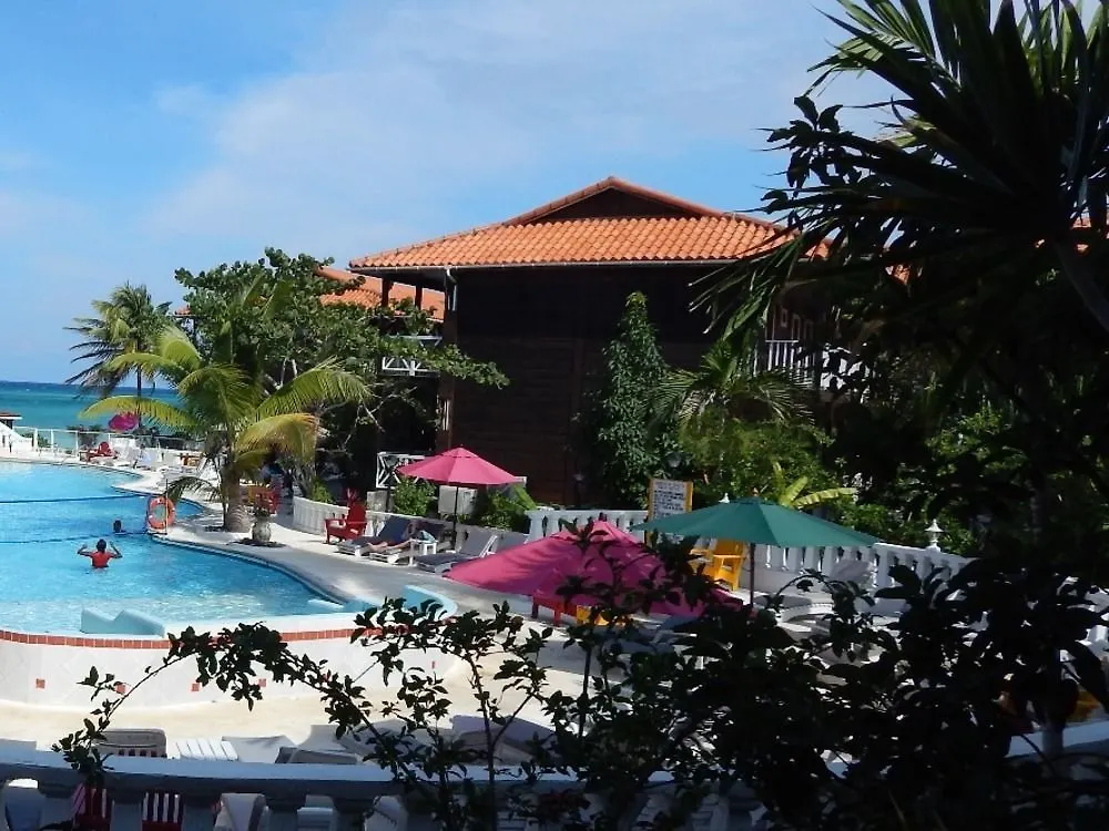 Mangos Jamaica Adults Only Hotel Falmouth